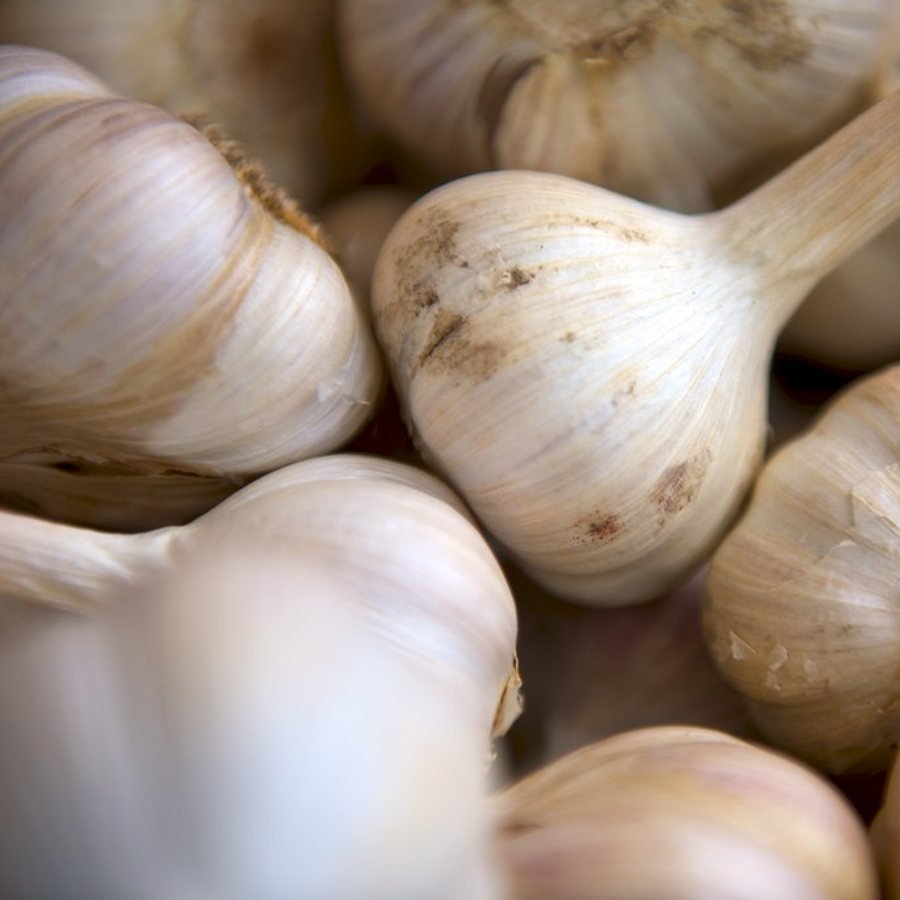 Garlic (لہسن) — Hyderabad ke bazaar mein