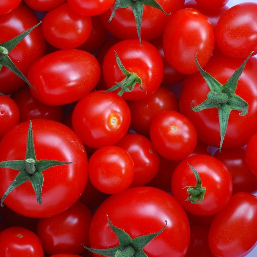Fresh Tomatoes (تازہ ٹماٹر) — Sialkot ke bazaar mein
